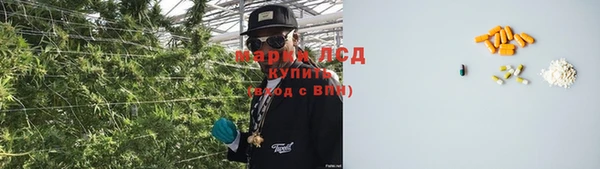 мяу мяу мука Аркадак