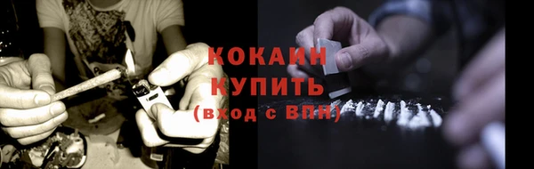 мяу мяу мука Аркадак