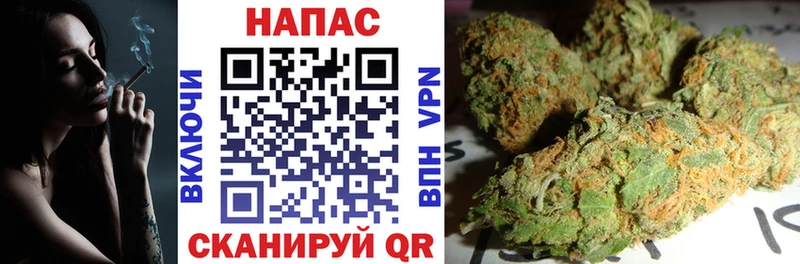 Конопля Bruce Banner  купить наркоту  Спасск-Рязанский 